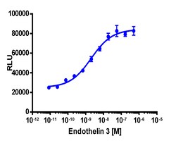 Eurofins Discoverx&nbsp;PathHunter eXpress EDNRB Total Internalization Assay, 10pl Kit. (93-0874E3CP0L)