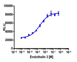 Eurofins Discoverx PathHunter eXpress EDNRB Total Internalization Assay,