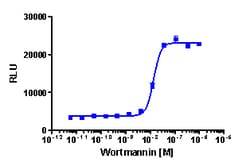 Eurofins Discoverx&nbsp;PathHunter U2OS FOXO3 Nuclear Translocation Cell Line, 2 vials. (93-0876C3)