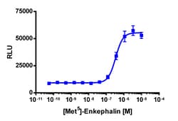 Eurofins Discoverx&nbsp;PathHunter eXpress OPRM1 U2OS β-Arrestin-1 GPCR Assay, 10-Plate Kit. (93-0878E3CP5L)