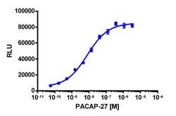 Eurofins Discoverx&nbsp;PathHunter eXpress ADCYAP1R1 Total Internalization Assay, 10-plate Kit. (93-0885E3CP0L)