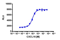 Eurofins Discoverx&nbsp;PathHunter CXCR6 Total Internalization U2OS Cell Line, 2 vials. (93-0886C3)