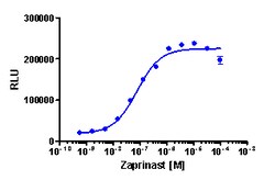 Eurofins Discoverx&nbsp;PathHunter CHO-K1 rGPR35 β-Arrestin Cell Line, 2 vials. (93-0887C2)