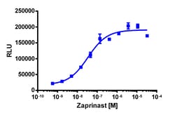 Eurofins Discoverx&nbsp;PathHunter eXpress rGPR35 CHO-K1 β-Arrestin GPCR Assay, 10-Plate Kit. (93-0887E2RCP2L)