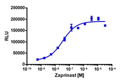 Eurofins Discoverx PathHunter eXpress rGPR35 CHO-K1 β-Arrestin GPCR Assay,