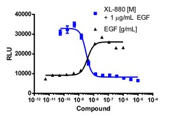 Eurofins Discoverx&nbsp;PathHunter eXpress Flt4 Activity Assay, 2-Plate Kit. (93-0888E3CP16M)