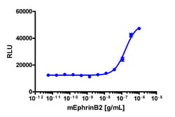 Eurofins Discoverx PathHunter U2OS EphB1 Functional Assay, 2 vials. (93-0893C3),