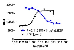 Eurofins Discoverx&nbsp;PathHunter eXpress Flt3 ActivityAssay, 10-Plate Kit. (93-0901E3CP16L)