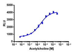 Eurofins Discoverx&nbsp;PathHunter eXpress CHRM4 Total Internalization Assay, 10pl Kit. (93-0902E3CP0L)