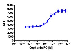 Eurofins Discoverx&nbsp;PathHunter OPRL1 Total Internalization U2OS Cell Line, 2 vials. (93-0904C3)