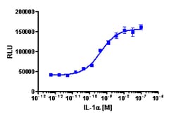 Eurofins Discoverx PathHunter HEK 293 RELA Nuclear Translocation Cell Line,