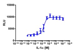 Eurofins Discoverx&nbsp;PathHunter eXpress HEK 293 RELA Nuclear Translocation Assay, 10-plate Kit. (93-0907E1CP0L)