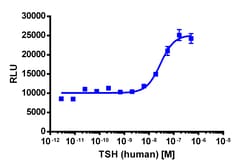 Eurofins Discoverx&nbsp;PathHunter U2OS TSHR (Long Isoform) β-Arrestin-1 Cell Line, 2 vials. (93-0912C3)