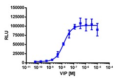 Eurofins Discoverx&nbsp;PathHunter eXpress rVIPR1 CHO-K1 β-Arrestin GPCR Assay, 2-Plate Kit. (93-0913E2RCP2M)