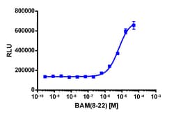 Eurofins Discoverx&nbsp;PathHunter CHO-K1 MRGPRX1 β-Arrestin Cell Line, 2 vials. (93-0919C2)