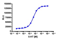 Eurofins Discoverx&nbsp;PathHunter U2OS HTR2C (VSV) β-Arrestin Cell Line, 2 vials. (93-0921C3)