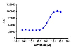 Eurofins Discoverx PathHunter CHO-K1 GPR120S (Short Isoform) β-Arrestin