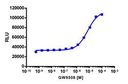 Eurofins Discoverx&nbsp;PathHunter eXpress GPR120S (Short Isoform) CHO-K1 β-Arrestin GPCR Assay, 10-plate Kit. (93-0924E2CP0L)