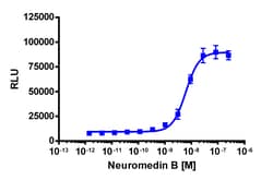 Eurofins Discoverx&nbsp;PathHunter CHO-K1 NMBR β-Arrestin Cell Line, 2 vials. (93-0925C2)