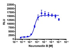 Eurofins Discoverx&nbsp;PathHunter eXpress NMBR CHO-K1 β-Arrestin GPCR Assay, 2-Plate Kit. (93-0925E2CP2M)