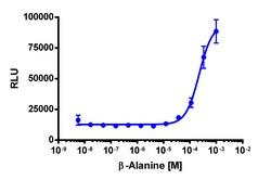 Eurofins Discoverx PathHunter CHO-K1 MRGPRD β-Arrestin Cell Line, 2 vials.