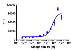 Eurofins Discoverx&nbsp;PathHunter U2OS KISS1R β-Arrestin Cell Line, 2 vials. (93-0927C3)