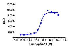 Eurofins Discoverx&nbsp;PathHunter eXpress KISS1R U2OS β-Arrestin GPCR Assay, 10-Plate Kit. (93-0927E3CP5L)