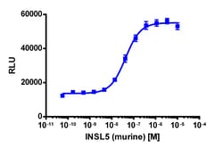 Eurofins Discoverx&nbsp;PathHunter eXpress mRXFP4 CHO-K1 β-Arrestin GPCR Assay, 2-Plate Kit. (93-0929E2MCP2M)