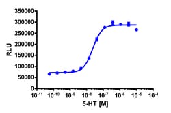 Eurofins Discoverx&nbsp;PathHunter U2OS HTR2C (VGV) β-Arrestin Cell Line, 2 vials. (93-0932C3)
