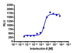 Eurofins Discoverx&nbsp;PathHunter eXpress CXCR2 Activated GPCR Internalization Assay, 10pl Kit. (93-0934E3CP5L)