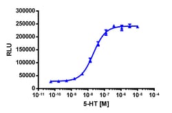 Eurofins Discoverx&nbsp;PathHunter U2OS HTR2C (VNV) β-Arrestin Cell Line, 2 vials. (93-0938C3)