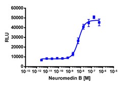 Eurofins Discoverx PathHunter NMBR Total Internalization U2OS Cell Line,