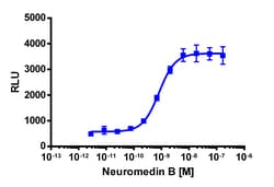 Eurofins Discoverx&nbsp;PathHunter eXpress NMBR Total Internalization Assay, 2pl Kit. (93-0939E3CP5M)