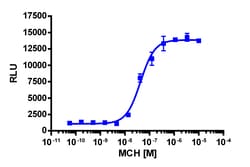 Eurofins Discoverx&nbsp;PathHunter U2OS MCHR1 β-Arrestin Cell Line, 2 vials. (93-0940C3)