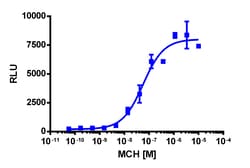 Eurofins Discoverx&nbsp;PathHunter eXpress MCHR1 U2OS β-Arrestin GPCR Assay, 2-Plate Kit. (93-0940E3CP5M)