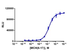 Eurofins Discoverx PathHunter MCHR1 Bioassay Kit, 10-Plate. (93-0940Y3-00150),