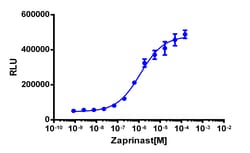 Eurofins Discoverx&nbsp;PathHunter eXpress GPR35 CHO-K1 β-Arrestin GPCR Assay, 2-Plate Kit. (93-0942E2CP2M)