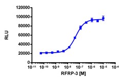 Eurofins Discoverx&nbsp;PathHunter CHO-K1 NPFFR1 β-Arrestin Cell Line, 2 vials. (93-0944C2)