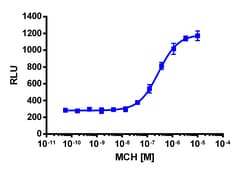Eurofins Discoverx&nbsp;PathHunter eXpress MCHR1 Total Internalization Assay, 2pl Kit. (93-0947E3CP5M)