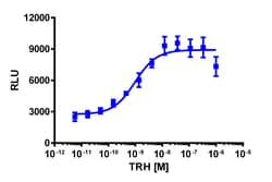 Eurofins Discoverx PathHunter TRHR Total Internalization U2OS Cell Line,