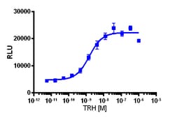 Eurofins Discoverx&nbsp;PathHunter eXpress TRHR Total Internalization Assay, 10pl Kit. (93-0949E3CP5L)
