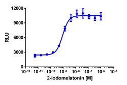 Eurofins Discoverx PathHunter CHO-K1 MTNR1A β-Arrestin Cell Line, 2 vials.