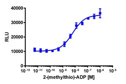 Eurofins Discoverx&nbsp;PathHunter P2RY12 Total Internalization U2OS Cell Line, 2 vials. (93-0952C3)