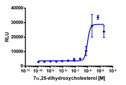 Eurofins Discoverx PathHunter eXpress mEBI2 CHO-K1 β-Arrestin GPCR Assay,