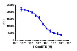 Eurofins Discoverx&nbsp;PathHunter OXER1 Total Internalization U2OS Cell Line, 2 vials. (93-0955C3)