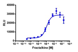 Eurofins Discoverx&nbsp;PathHunter CHO-K1 CX3CR1 β-Arrestin Cell Line, 2 vials. (93-0956C2)