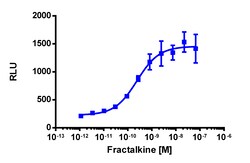 Eurofins Discoverx&nbsp;PathHunter eXpress CX3CR1 CHO-K1 β-Arrestin GPCR Assay, 2-Plate Kit. (93-0956E2CP0M)