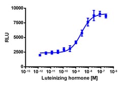 Eurofins Discoverx&nbsp;PathHunter eXpress LHCGR CHO-K1 β-Arrestin GPCR Assay, 10-Plate Kit. (93-0957E2CP0L)