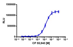 Eurofins Discoverx PathHunter CHO-K1 CNR1 β-Arrestin Cell Line, 2 vials.