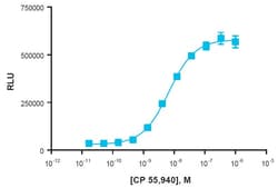 Eurofins Discoverx&nbsp;PathHunter CNR1 Bioassay Kit, 2-Plate. (93-0959Y2-00119)